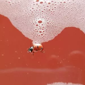 20180808_132247-min