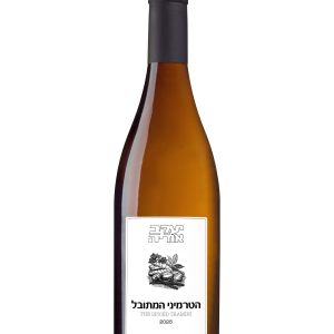 הטרמיני המתובל 2025 | חדש